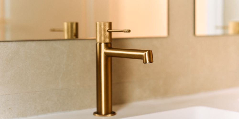 NEODOMOS_ESQUERDO_ 154