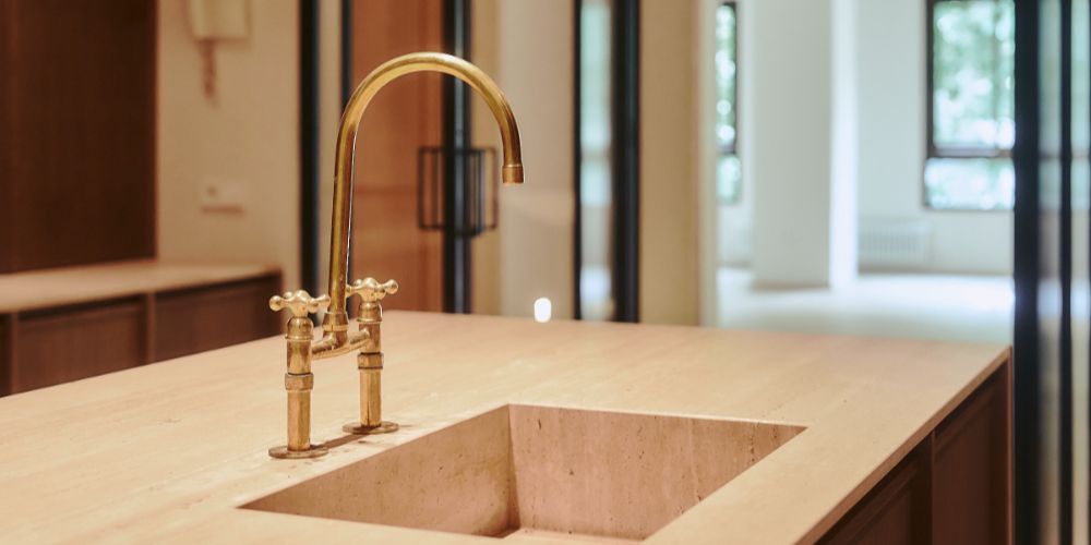 Neodomos_P.VERGARA_ 165