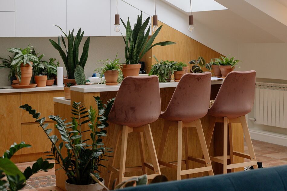 Kitchen decorated with so much natural green plants